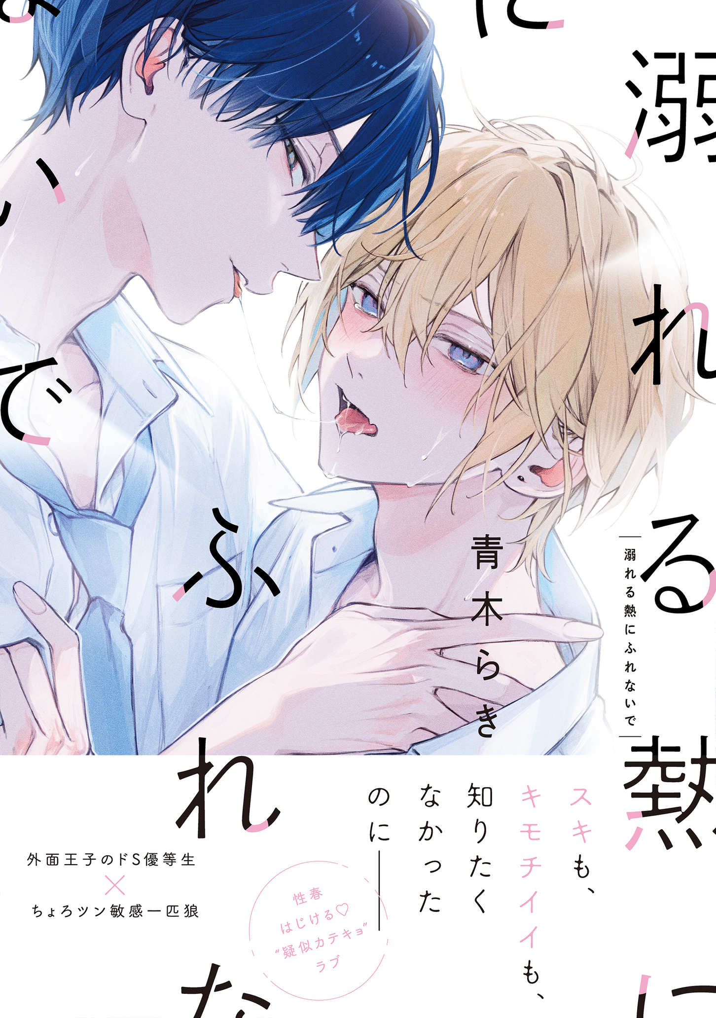 ボーイズラブ|溺れる熱にふれないで【単行本版】 青木らき ボーイズラブ|溺れる熱にふれないで【単行本版】 青木らき