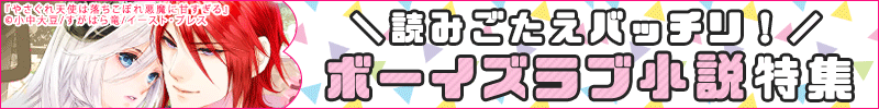 BL小説特集画像