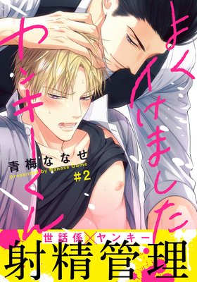 よくイけましたヤンキーくん（2）_表紙