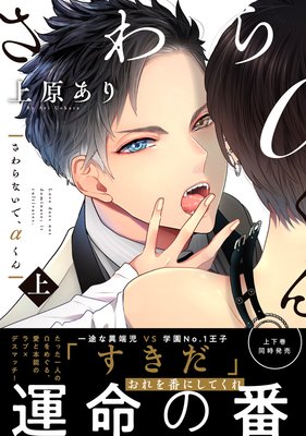 さわらないで、αくん 上 ‗表紙