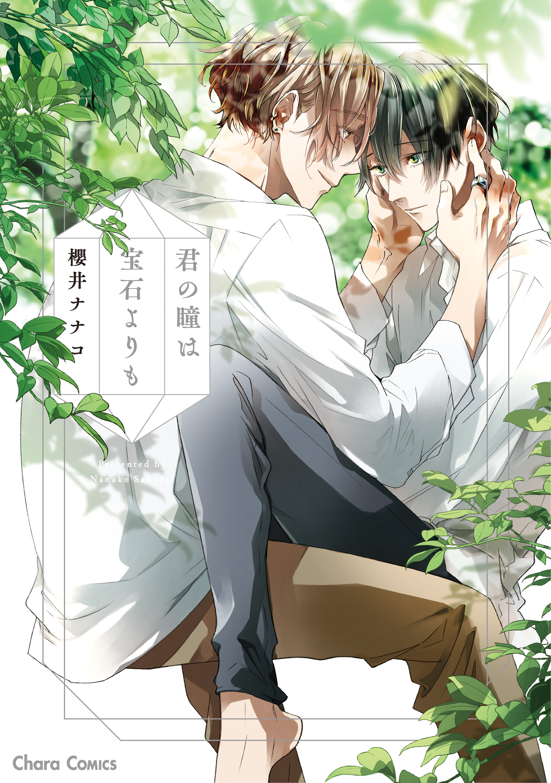 君の瞳は宝石よりも【SS付き電子限定版】