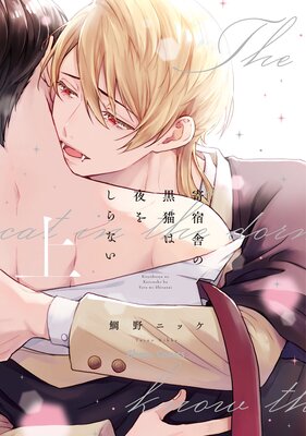 	寄宿舎の黒猫は夜をしらない（上）	