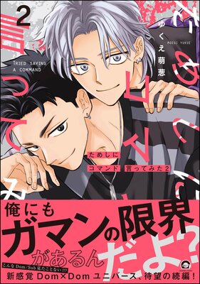 	ためしにコマンド言ってみた （2） 【Renta！＆電子限定かきおろし漫画付】	