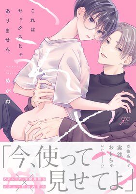   これはセックスじゃありません