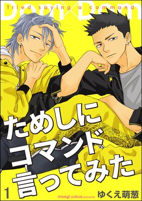 	ためしにコマンド言ってみた（分冊版） 【第1話】	