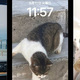 全世界のオタク必見！iOS16の新機能&有効活用法マニュアル♥
