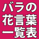 本数によって意味が違う!?バラの花言葉一覧