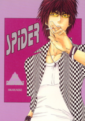 SPIDER