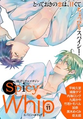 Spicy Whip vol.11