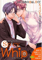 Spicy Whip vol.12