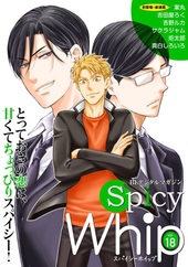 Spicy Whip vol.18