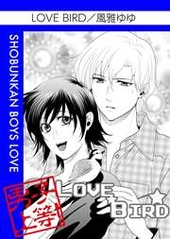 LOVE BIRD