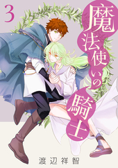 魔法使いの騎士 3