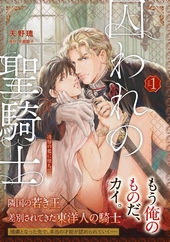 囚われの聖騎士～凌辱の檻に堕ちて～