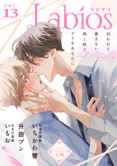 Labios vol.13