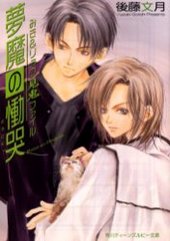 夢魔の慟哭―みき&リョウ見鬼ファイル