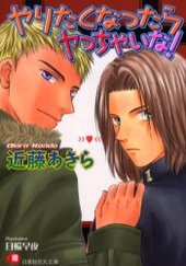 やりたくなったらヤっちゃいな！