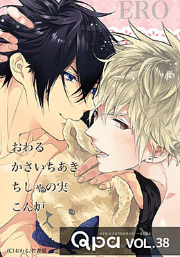 Qpa vol.38