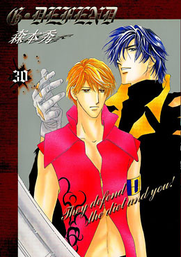 新装版G･DEFEND (30)