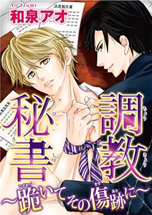調教秘書 ～跪いてその傷跡に～