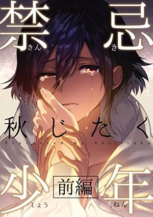 禁忌少年