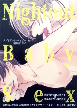 「ナイトアウト・ベイビー・セックス」紹介冊子