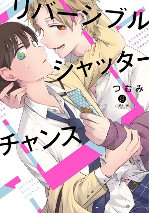 リバーシブルシャッターチャンス