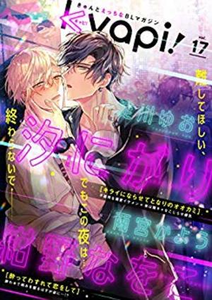 kyapi！ vol.17