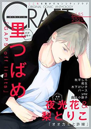 CRAFT vol.85