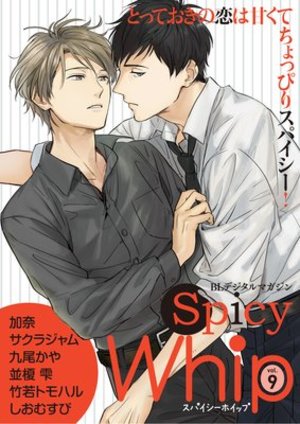 Spicy Whip vol.9