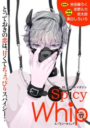 Spicy Whip vol.17
