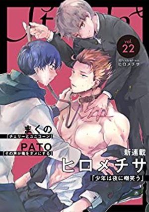 Strada＋ vol.22