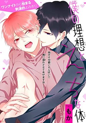 僕の理想とえっちな体