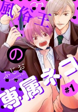 風俗王の専属ネコ