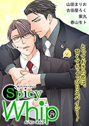 Spicy Whip vol.29