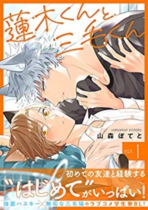 蓮木くんと三毛くん