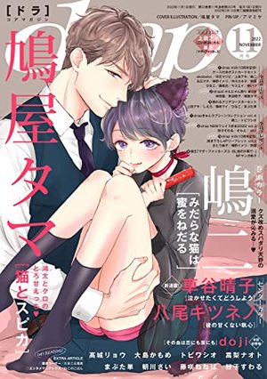 drap2022年 11月号