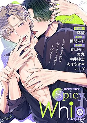 Spicy Whip vol.39