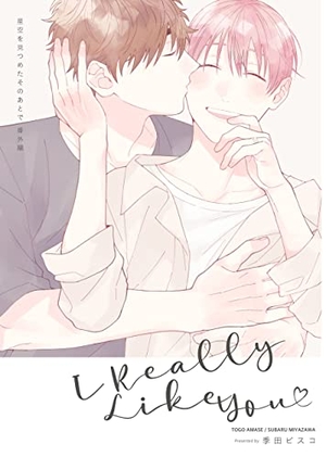 I Really Like you 星空を見つめたそのあとで番外編
