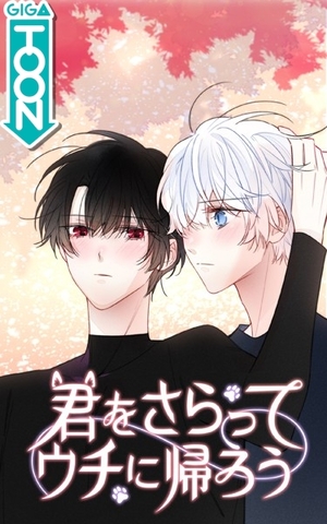 君をさらってウチに帰ろう