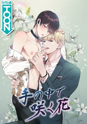 手の中で咲く花