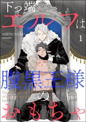 下っ端エルフは腹黒王様のおもちゃ