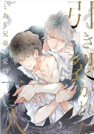 引き裂かれた二人〜とある兄弟の愛憎〜