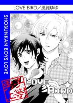 LOVE BIRD