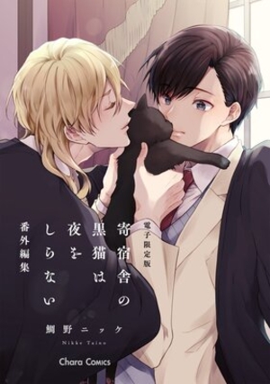 『寄宿舎の黒猫は夜をしらない』番外編集