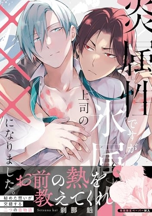 炎属性ですが、氷属性上司の×××になりました。