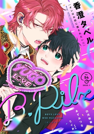 商業BL 漫画 54冊 まとめ買い 全巻セット