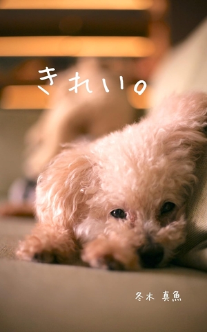 きれい。 