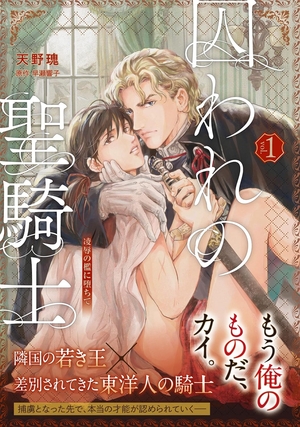 囚われの聖騎士～凌辱の檻に堕ちて～