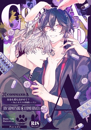 COMMAND A